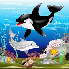 Fototapeta premium Dolphin and Killer Whale Cartoon Delfino e Orca nell'Oceano