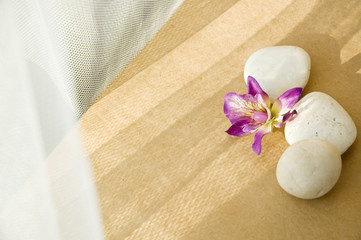 Fototapeta na wymiar orchid and stone