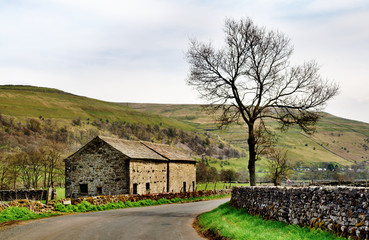 Fototapeta na wymiar Barn and tree in the Yorkshire Dales