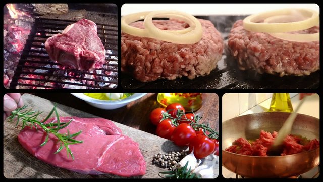 meat, composition