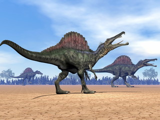Spinosaurus dinosaurs walk - 3D render