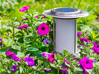 Solar-powered garden lamp on flower background.