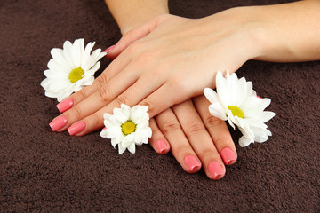 Woman hands with pink manicure and flowers, on color background