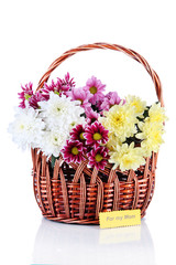 Fototapeta na wymiar Bouquet of beautiful chrysanthemums in wicker basket isolated