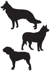 Dog breeds vector Silhouettes 2