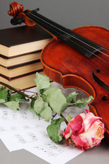 Fototapeta premium Classical violin on notes
