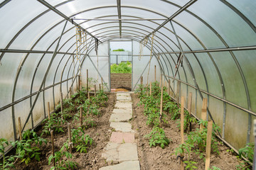 arched greenhouse