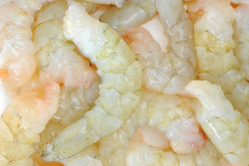 shrimp