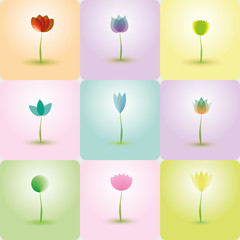 Colorful Flowers, abstract Icons for background