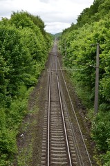 Fototapeta na wymiar Railroad Tracks Leading Through The Forest