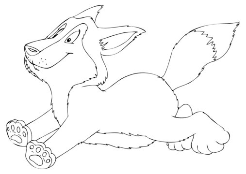 Wolf, Husky, Schlittenhund