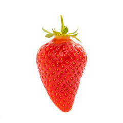 Strawberry isolated