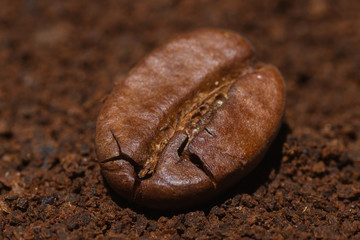 Kaffeebohne