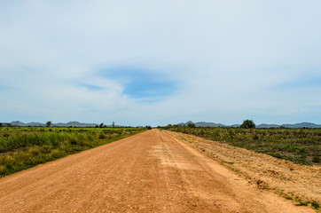 A Dirt Road in the Plains