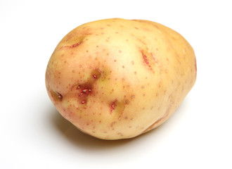 Large Raw Potato