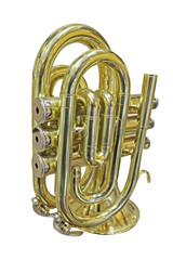 trumpet