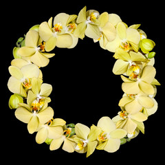 Orchid wreath separated on black