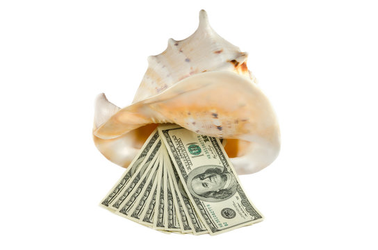 hundred-dollar denomination in shell isolated