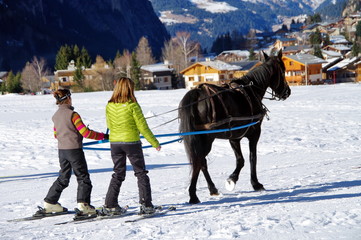 SKI-JOERING