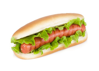 Hot dog with fresh lettuce