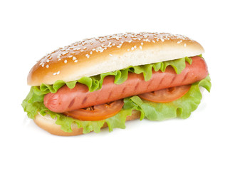 Hot dog with lettuce and tomato slices