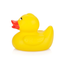 Rubber duck