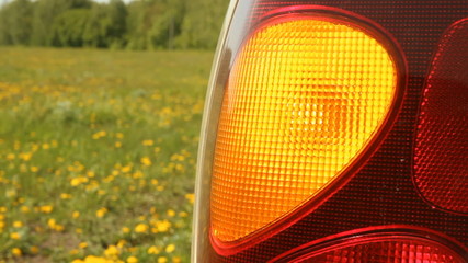 Alarm car. flashing turn signal 