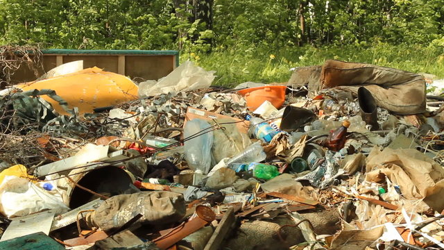 Garbage dump in the woods. Environmental contamination  