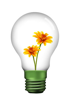 yellow flower in Lamp
