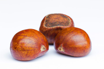 Chestnut seeds on a white background.