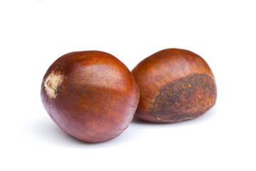 Chestnut seeds on a white background.