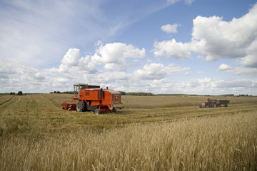 Harvester working in a field