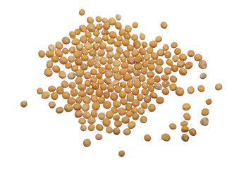 Mustard seeds