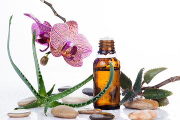 Herb leaf and Orchid with an aromatherapy essential oil