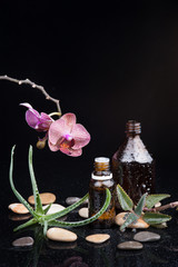 Herb leaf and Orchid with an aromatherapy essential oil