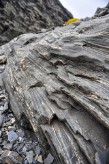 Stones of Alps