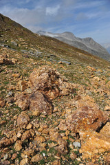Stones of Alps