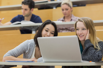 Fototapeta premium Students in a lecture hall with a laptop