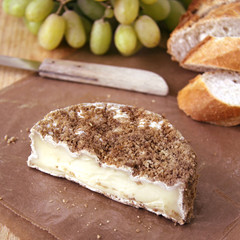 calvados camembert