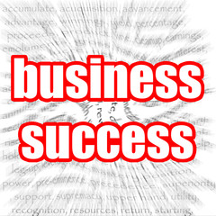 Business success
