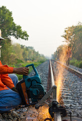 Workers were cutting tracks for maintenance.