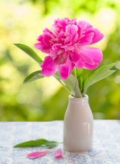 Pink peony