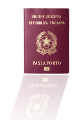 Naklejka premium Passport