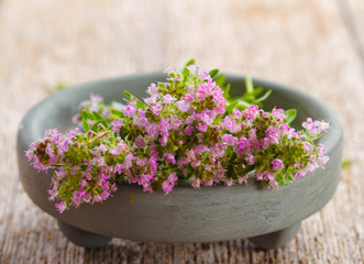 Thyme