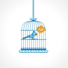 Oiseau bleu en prison ouverte