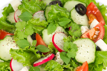 Spring salad with fresh vegetables