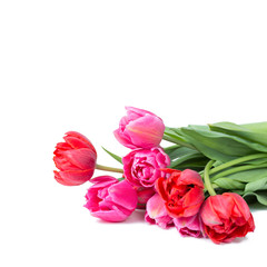 Tulpen als Hintergrund