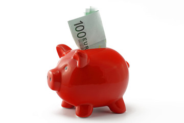 sparschwein mit 100 euro