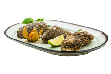 Fresh oyster