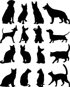 Silhouettes cats and dogs